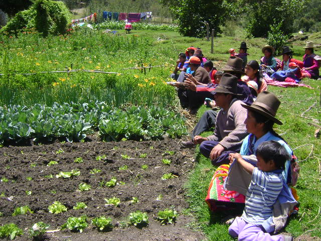 Agroecología en Campo